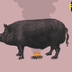 Illustration for article titled How The Hell Do I Make Ribs?
